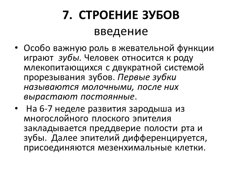 7.  СТРОЕНИЕ ЗУБОВ введение Особо важную роль в жевательной функции играют  зубы.